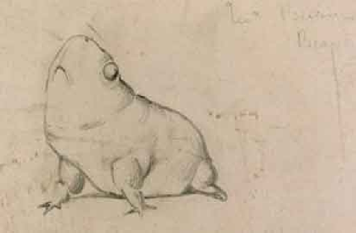 Karikatura, Ochsenfrosch od Sir Edward Burne-Jones