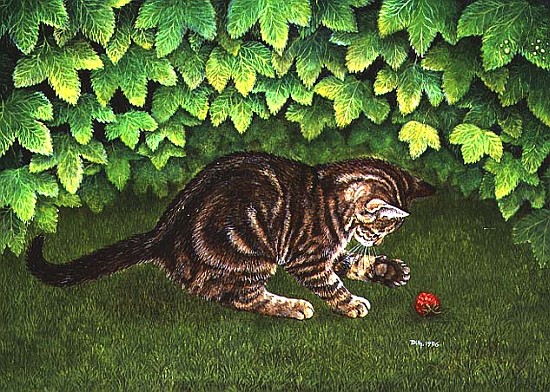 The Strawberry-Kitten, 1996 (acrylic on panel)  od Ditz 