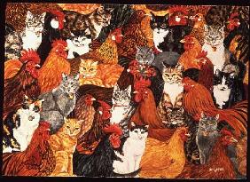 Chicken-Cats 