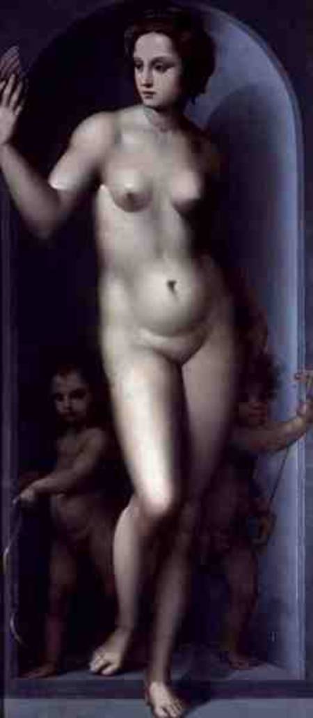 Venus Between Two Amores od A. Piccinelli