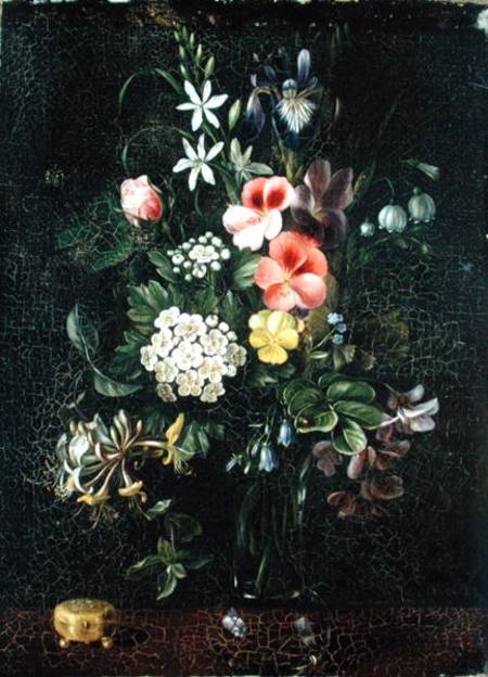 Vase of Flowers od A. Viedebant
