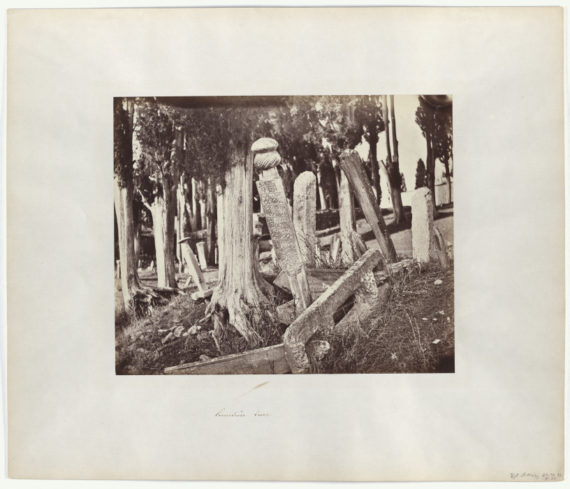 Constantinople: Turkish Cemetery in Scutari od Abdullah Frères