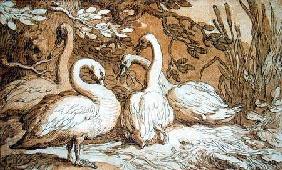 A Group of Swans