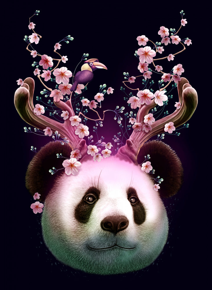 panda horns up od Adam Lawless