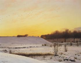 Winter landscape in the evening.