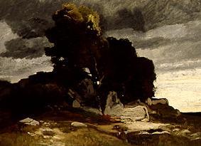Storm. od Adolf Stäbli
