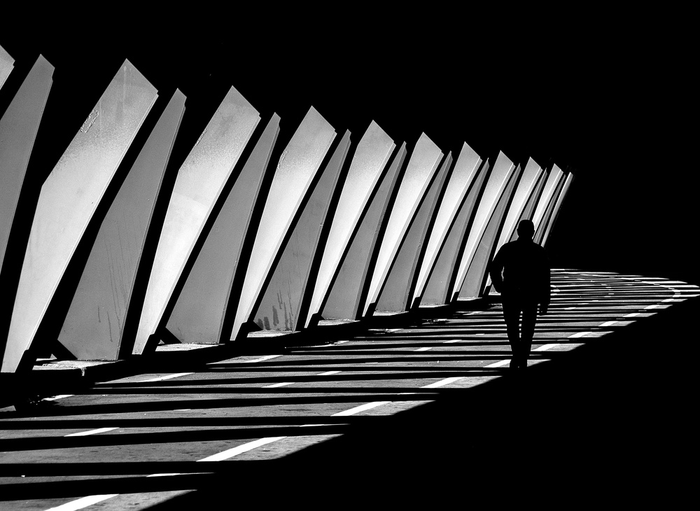 Between light and shadow od Adolfo Urrutia