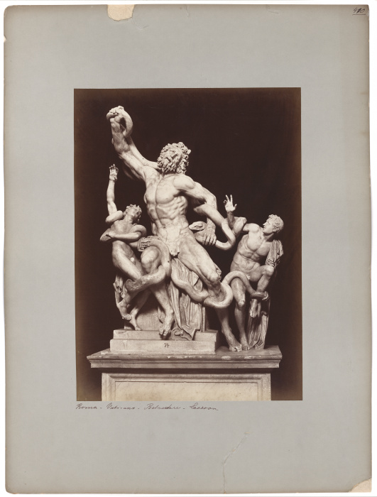 The Laocoon in the Vatican Museum od Adolphe Braun