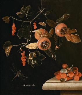 Still Life of Medlars, Redcurrants, Grapes and a Dragonfly