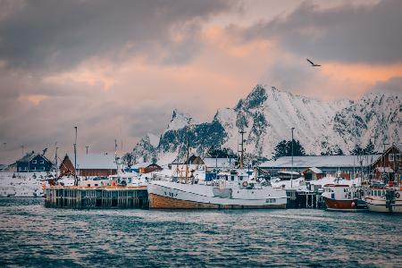 Twilight Harbour