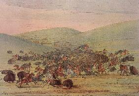 Minatarees attacking buffalo on horseback