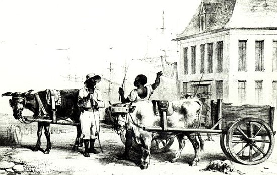 Negro Boys with bullock carts, from ''Voyage a Surinam'' 1834 od (after) Pierre J. Benoit