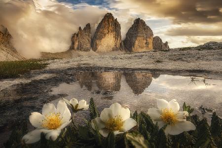 Tre Cime di Lavaredo, always great emotions!