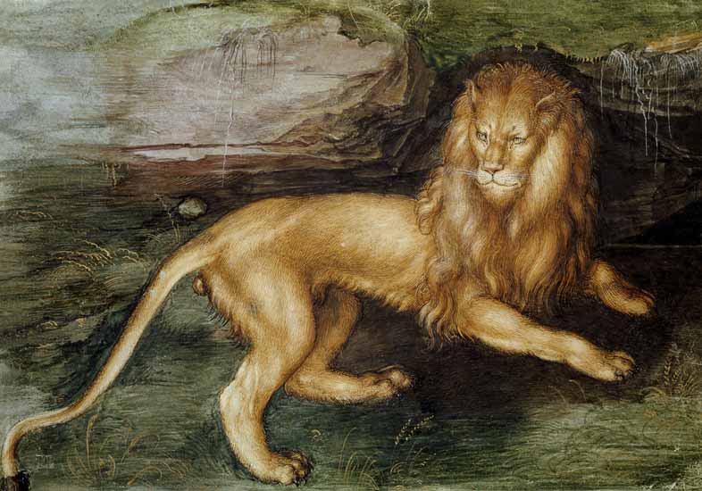 Lion od Albrecht Dürer