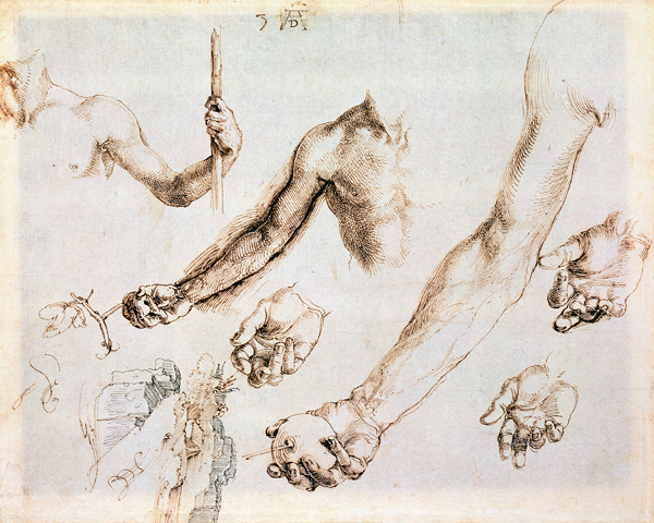 Study of male hands and arms (pen) od Albrecht Dürer