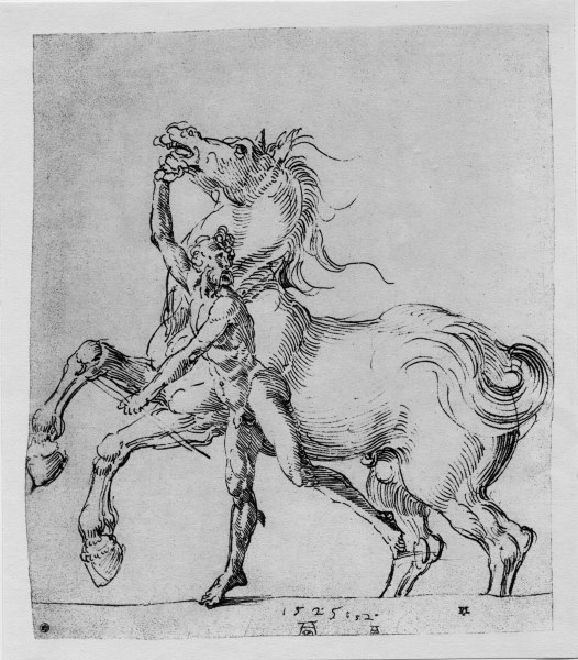 A.Dürer, Nude Man with Horse / 1525 od Albrecht Dürer