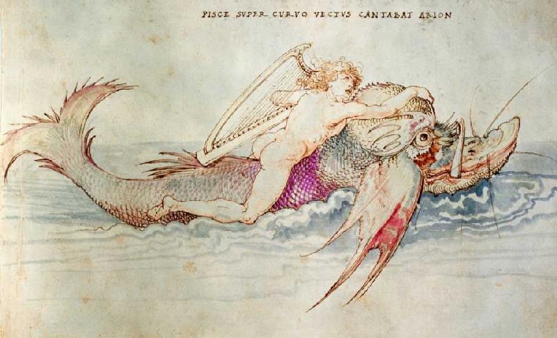Der griechische Poet Arion reitet auf dem Delphin od Albrecht Dürer