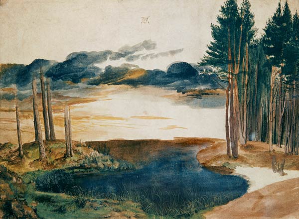A pond in the woods od Albrecht Dürer