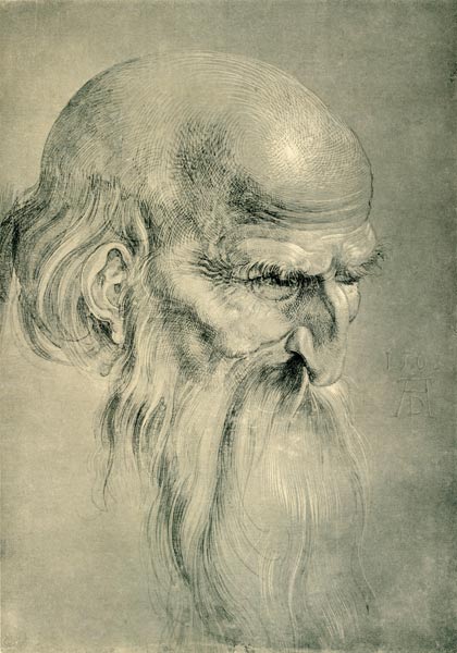 Head of an Apostles / Dürer / 1508 od Albrecht Dürer