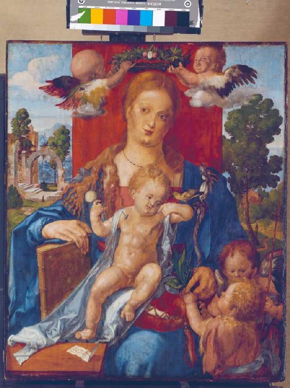 The Madonna with the siskin od Albrecht Dürer