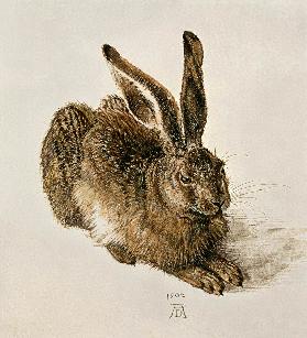 Mladý zajíc - Albrecht Dürer