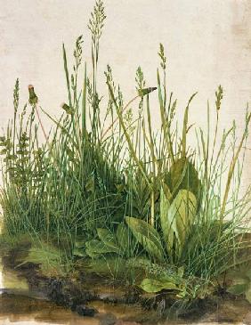 Great piece of turf - study of weeds 1503