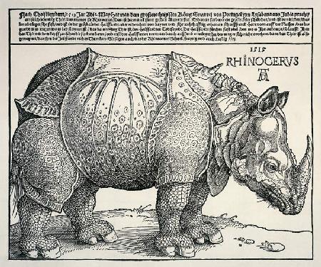 Rhinozeros