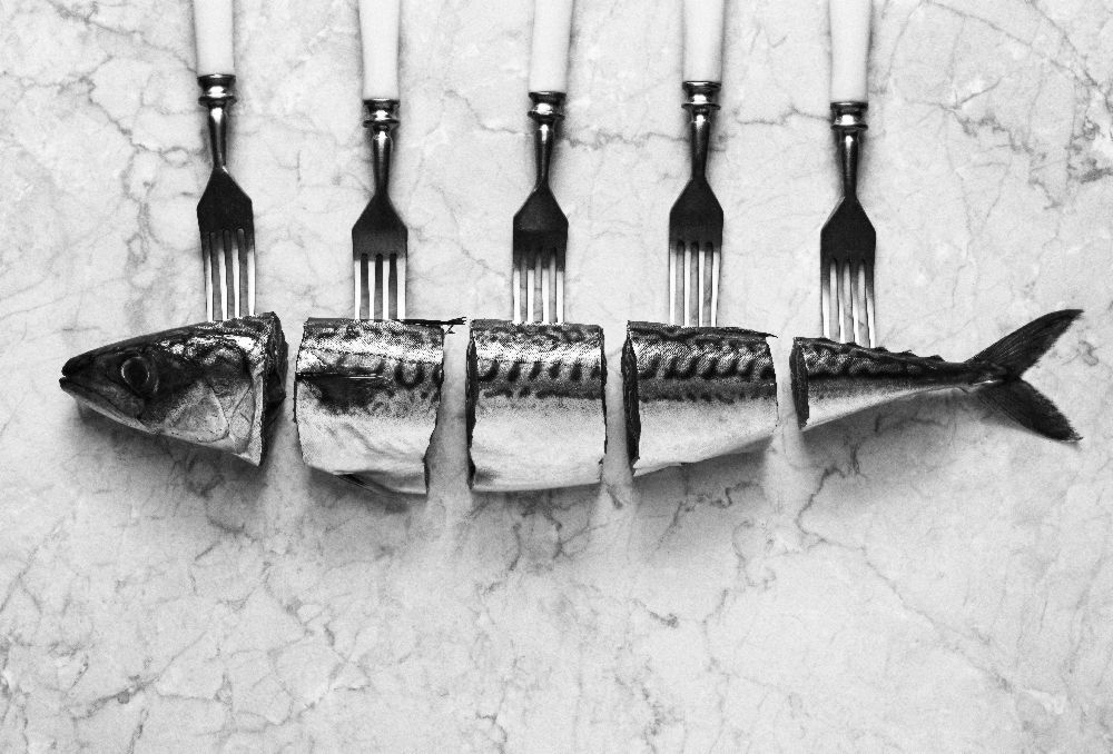Mackerel&Forks od Aleksandrova Karina