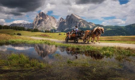 Horses and an old cottage.