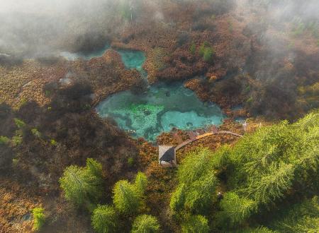 Zelenci springs