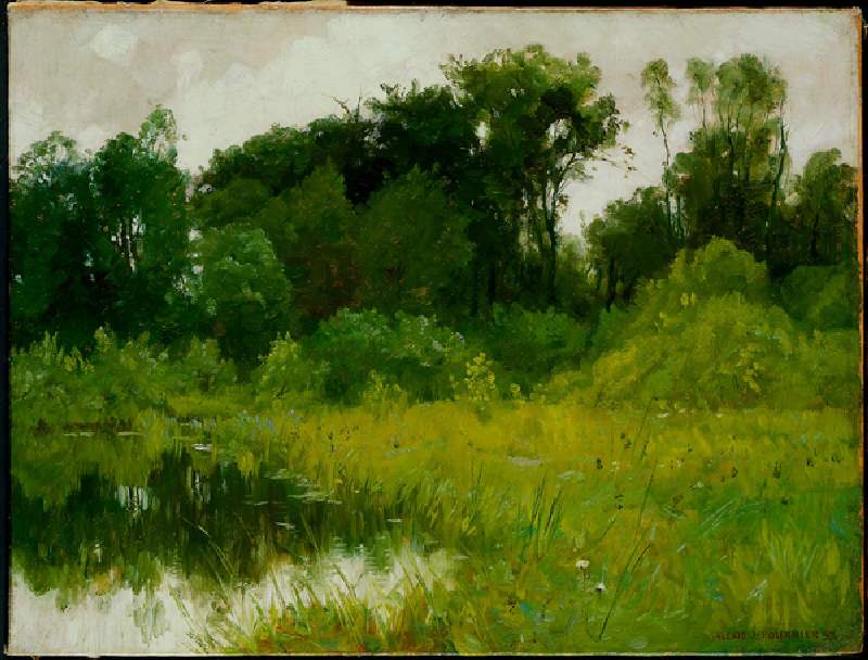After Rain, on Minnehaha Creek, 1897 (oil on canvas) od Alexis Jean Fournier