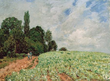 Alfred Sisley, Das Kleefeld