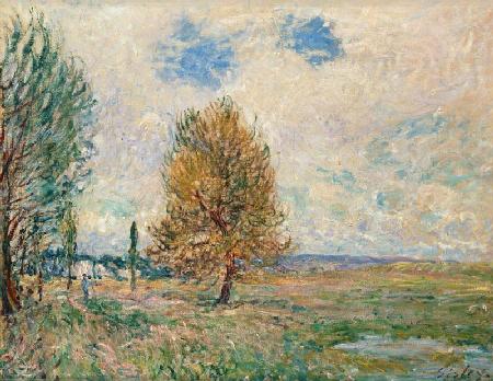 Fields at Veneux-Nadon