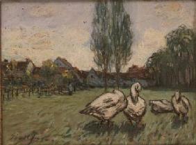 Geese (pastel)