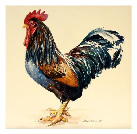 Georges Cockerel