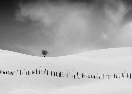 The sound of the fence