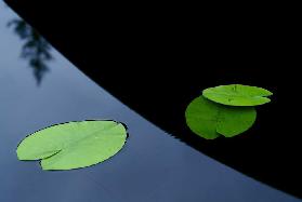 In the shade off a boat.