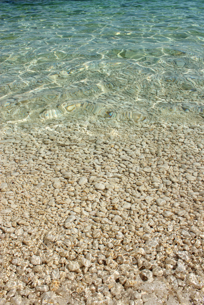 Aqua Ocean and Golden Pebbles od Alyson Fennell