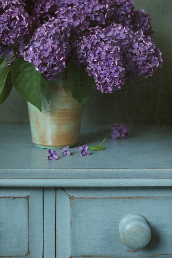 Purple Lilac Still Life od Alyson Fennell