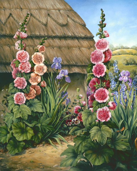 Cottage Garden with Hollyhocks od  Amelia  Kleiser