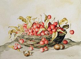 Basket of cherries