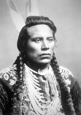 Curley, of the Crow tribe, one of Custer's scouts (b/w photo) od American Photographer, (19th century)