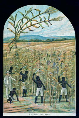 Cutting cane on a sugar plantation in America's Deep South (colour litho) od American School
