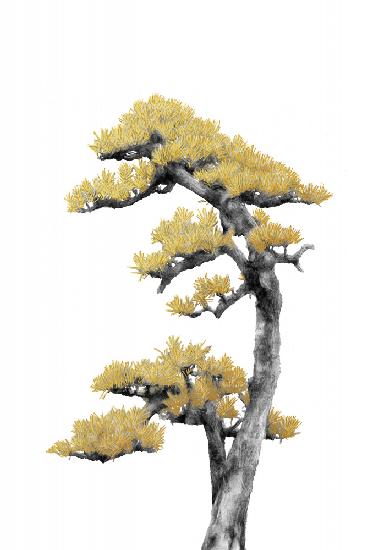 Bonsai Tree 04