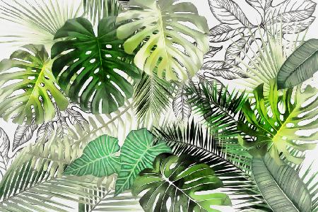 Tropical Foliage 01