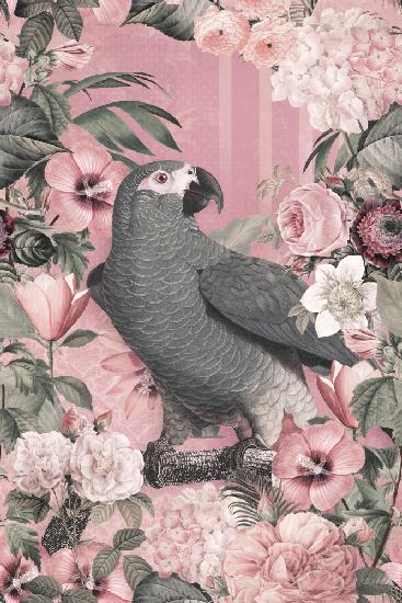 The Parrots Paradise Garden 2 Pastel Pink