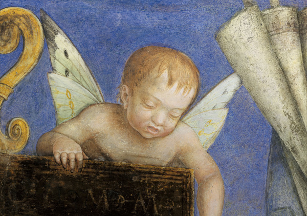 Camera degli Sposi, Putto od Andrea Mantegna