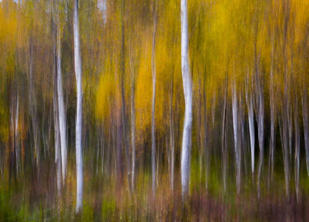 Abstract Fall od Andreas Christensen