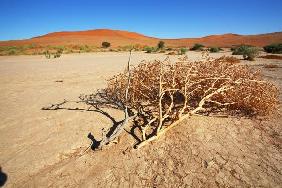 Sossusvlei Namibia