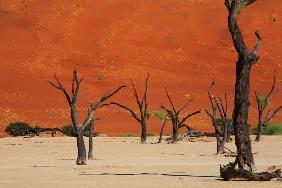 Deadvlei Nambia